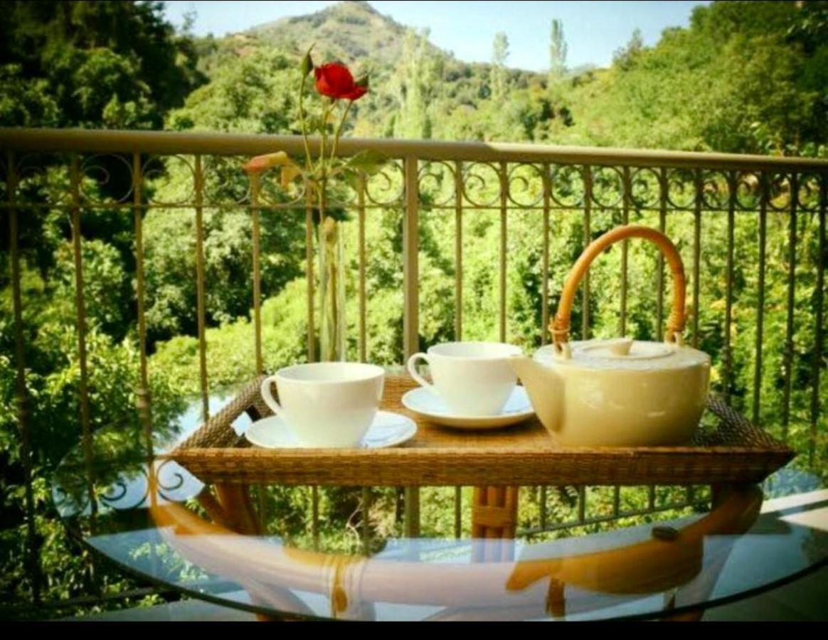 Riverside Suite Kalopanagiotis Dış mekan fotoğraf