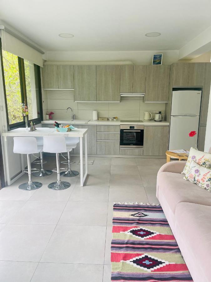 Riverside Suite Kalopanagiotis Dış mekan fotoğraf