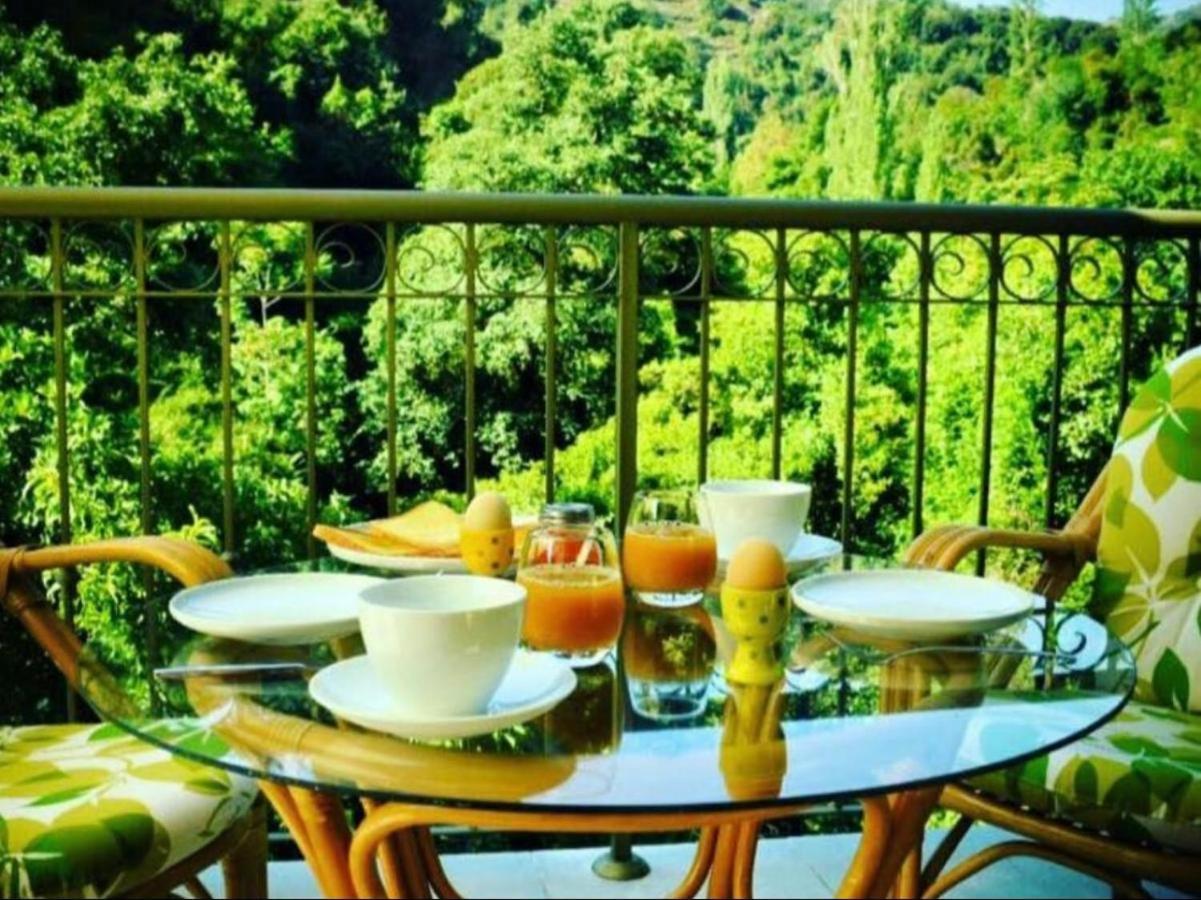 Riverside Suite Kalopanagiotis Dış mekan fotoğraf