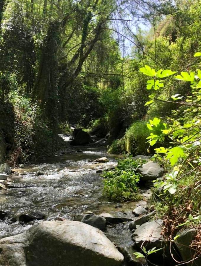 Riverside Suite Kalopanagiotis Dış mekan fotoğraf